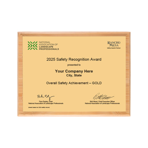 SAFETY - Overall Achievement Gold