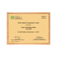 SAFETY - Overall Achievement Gold