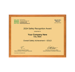 SAFETY - Overall Achievement Gold