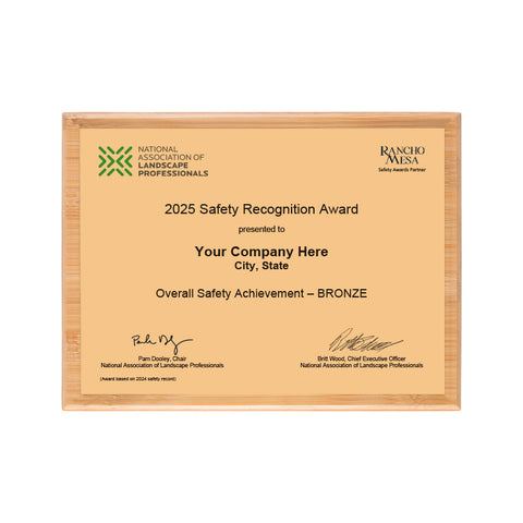 SAFETY - Overall Achievement Bronze