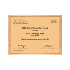 SAFETY - Overall Achievement Bronze