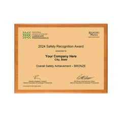 SAFETY - Overall Achievement Bronze